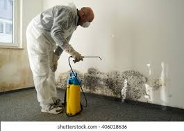 Best Biohazard Mold Removal  in Lumberton, MS